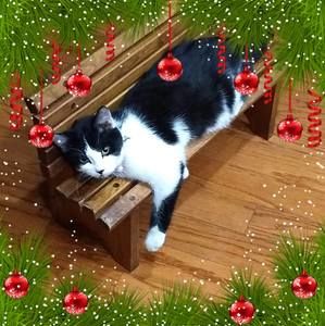 Meet your Posher, Jane